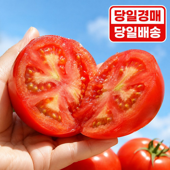 [당일경매] 대형마트납품 탱탱단단 완숙 찰토마토, 1개, 5kg