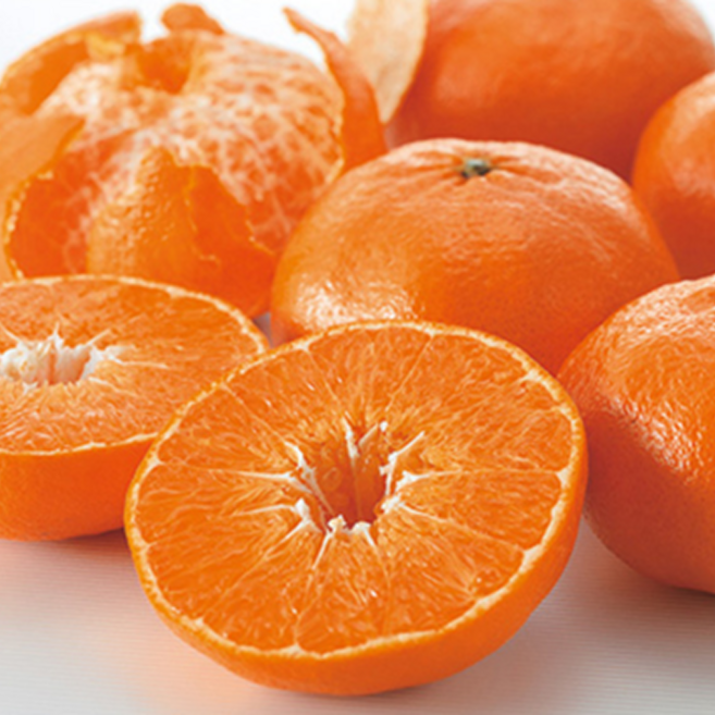 [초초특가]재구매율1위 SNS강타 미친과즙 벌꿀맛 레드향, 1박스, 3kg