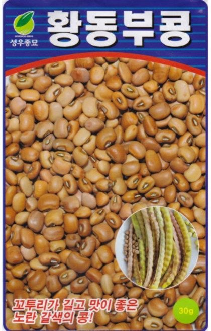 영농사 황동부콩 씨앗 30g 덩굴성 황색콩씨, 1개