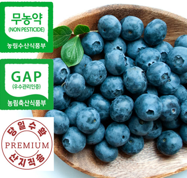 [장산농장] 무농약 GAP 인증 국내산 유기농 맛있는 생 블루베리 생과 중과 1Kg, 1개
