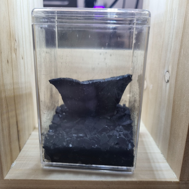 톡토기 사육세트 관찰통 케이지 (비바리움 필수품 / 개구리먹이), 톡토기포함, 1개