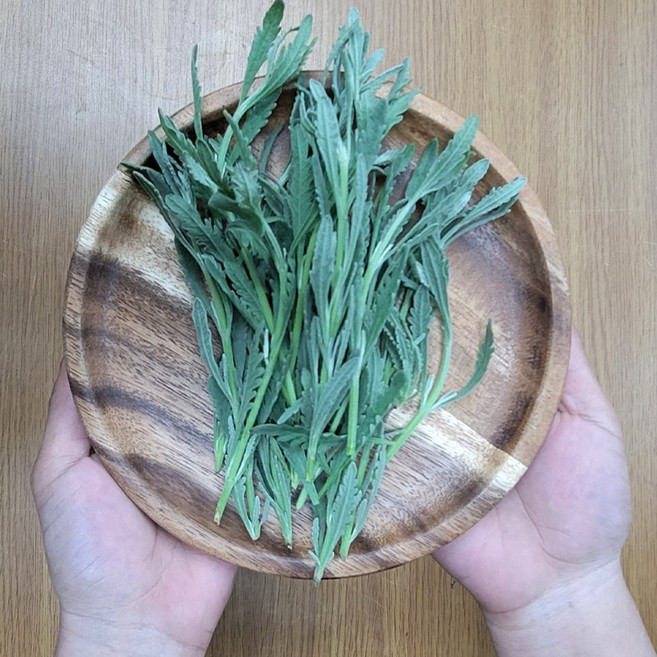 식용라벤더 생잎, 1개, 20g