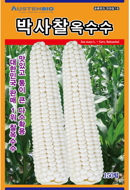 주주씨앗 백찰옥수수 씨앗 150립 박사찰옥수수 씨앗 다수확 통큰 옥수수, 1개