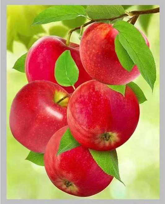 대진 보석십자수 사이즈 대형 금전운 보석 십자수, 1개, X4x5 빨강빛부귀들