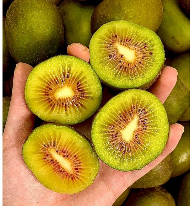 [제철특가] 최고당도 제주 레드키위 산지직송, 1박스, 중대 혼합과 1KG(후숙제포함)