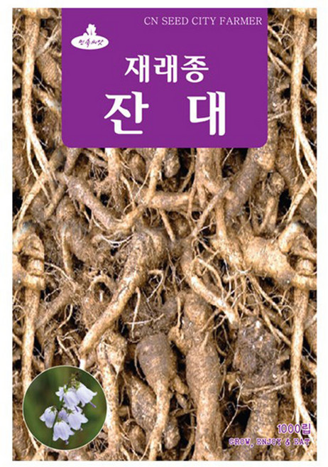 재래종 잔대씨앗 잔대씨 1000립, 1개