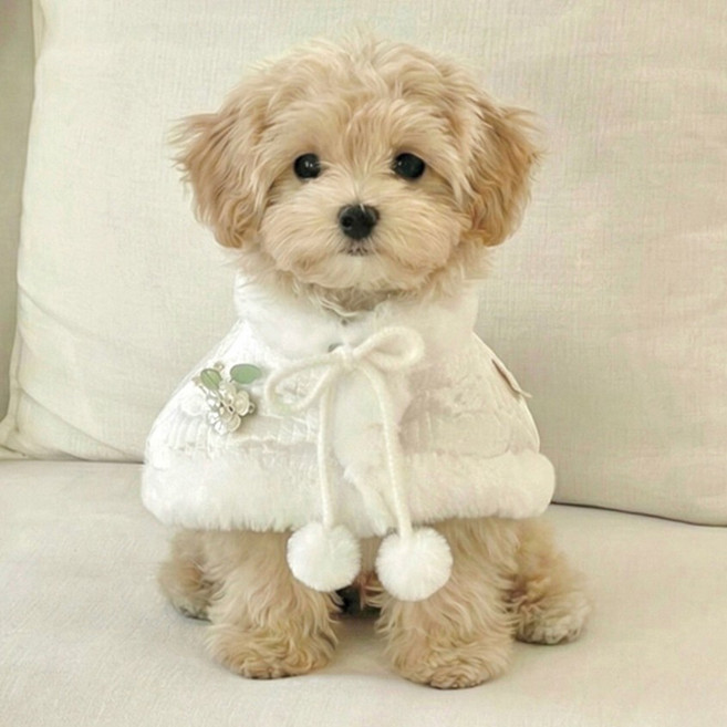 강아지한복 자개 플라워 밍크망토 강아지배자, 화이트, 1개