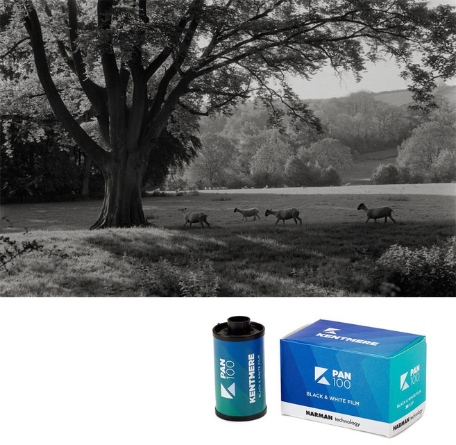 하만 켄트미어 100 36컷 35mm 흑백필름, 1개, 100-36
