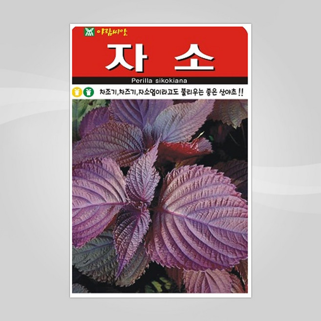 슬로시 슬로시 약초 씨앗 황기 감초 밀크씨슬 씨 종자, 1개