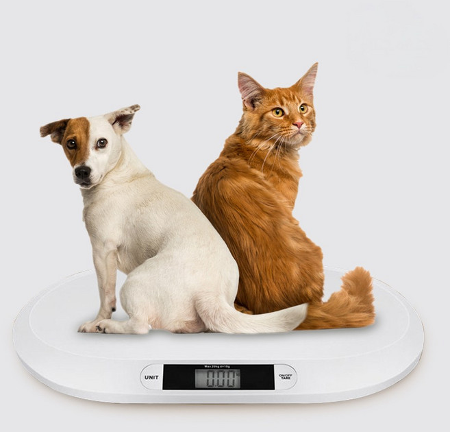 애구애구 강아지 고양이 체중계 건전지 포함, 화이트