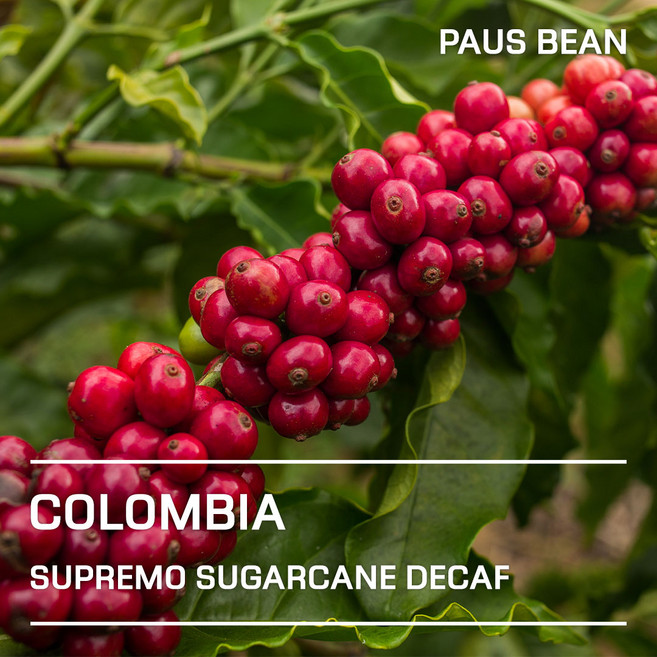 생두대빵 콜롬비아 수프리모 슈가케인 디카페인 생두, 1개, 500g