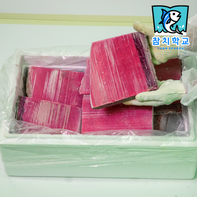 참치학교 업소용 참치회 도매 참다랑어 적신 10kg