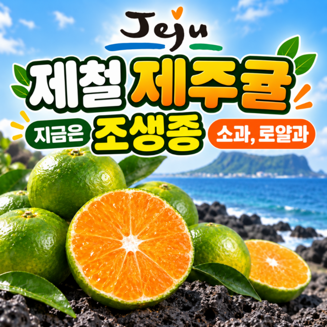 [일년에한달만] 제주 서귀포 극조생 감귤, 1박스, 5kg(04프리미엄S)