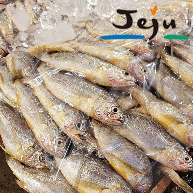 제주 파조기 참조기 파품 제주한림수산 3kg 6kg, 1개, 파조기_일반혼합3kg