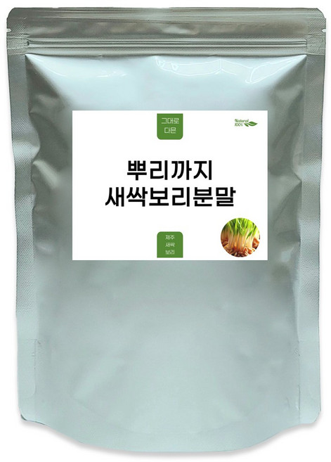 국내산 제주 새싹보리 분말 보리순 보리가루 뿌리 수경재배 500g, 1개