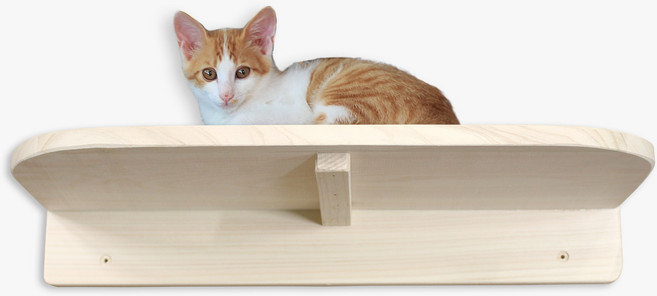 편백나무애견가구 편백나무 원목 고양이 디딤판 계단 캣타워, 일자형, 1개