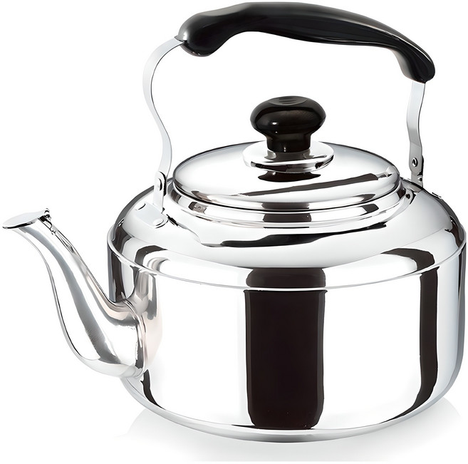 퀸센스 하모니 주전자, 4L, 혼합색상, 1개