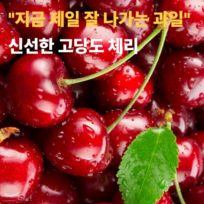 재구매1위 초특가 고당도 프리미엄 체리, 1개, 2kg