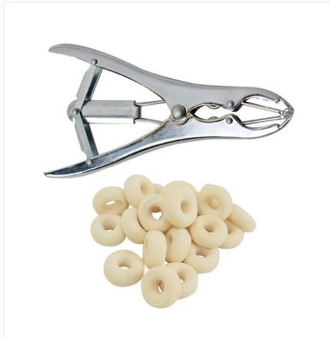 중성화 도구 돼지 송아지 거세 염소 고환 겸자 꼬리, 스테인리스 확장기 1개100개 돼지용, 1개, 1L