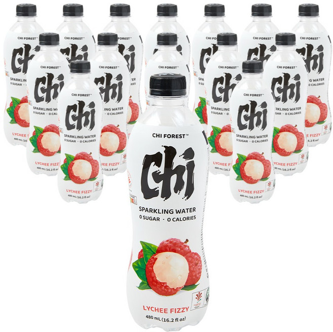 치 포레스트 제로슈거 탄산 리치향, 15개, 480ml