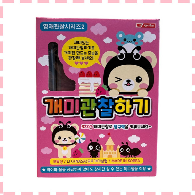 7000 개미관찰하기 개미집관찰