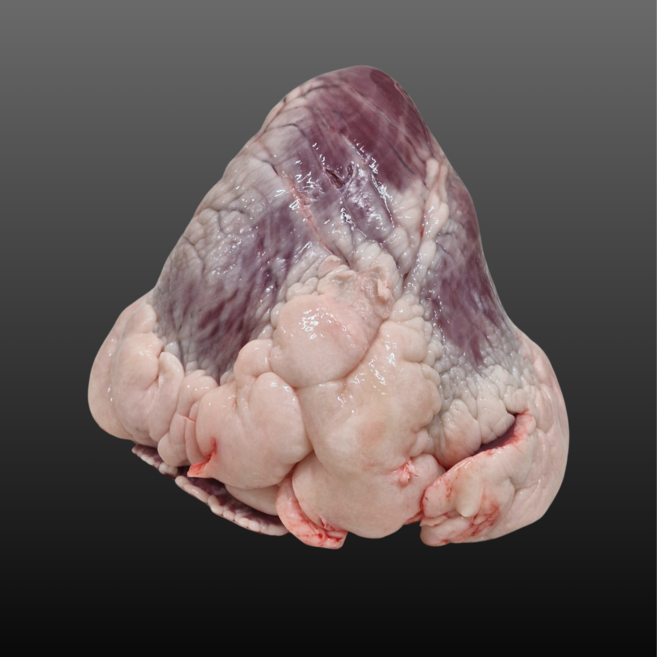 [도축장 당일직송] 한우 염통 100% 약 2kg 전후, 1개