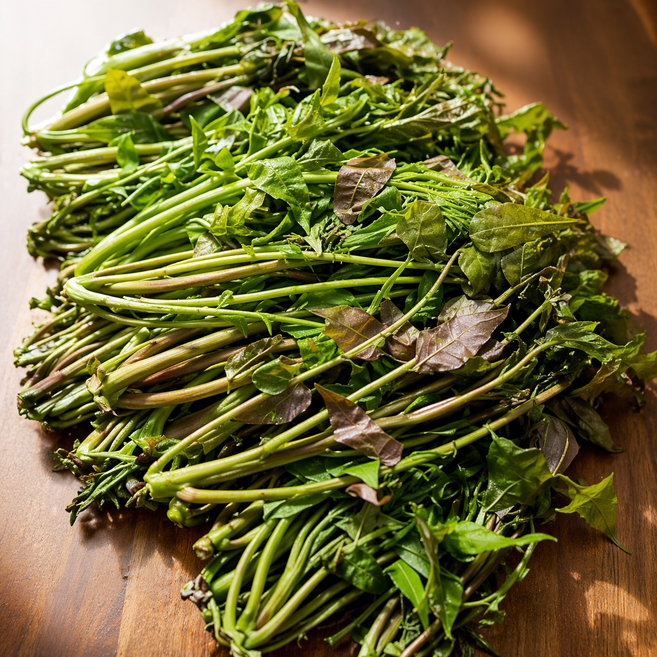 국내산 자연산 가죽나물 1키로 장아찌 무침 전 나물 김치 요리, 1개, 1kg