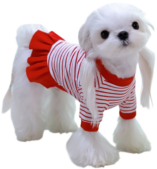 샤샤초이스 국내 강아지 옷 줄무늬 디링 긴팔 티셔츠 원피스, 1개, 레드