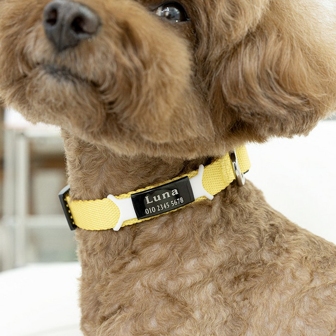 강아지 고양이 인식표 이름표 실리콘 네임택 목줄, 옐로우, 빨강, 1개