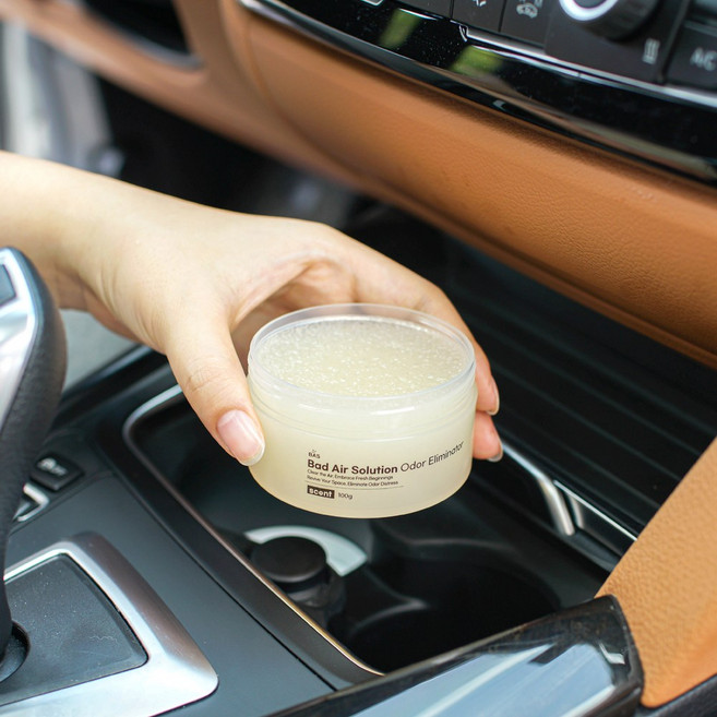 BAS 겔 차량용 탈취제 센트 1구 섬머린넨향(2개월 지속), 1개, 100g