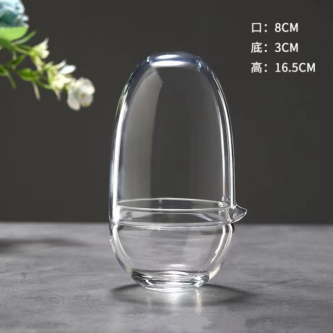 貝貝 苔蘚生態瓶 露集杯 玻璃盆栽 微景觀罩