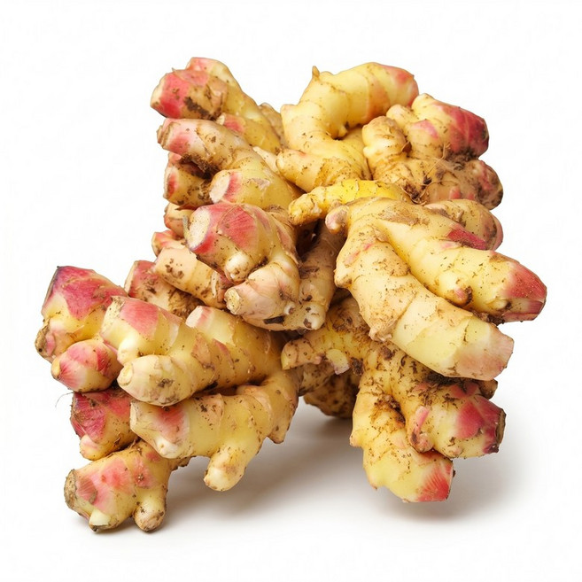 25년 수확 국산 생강 햇생강 세척생강 특상품 영주 봉화 1kg, 1개, 2025g