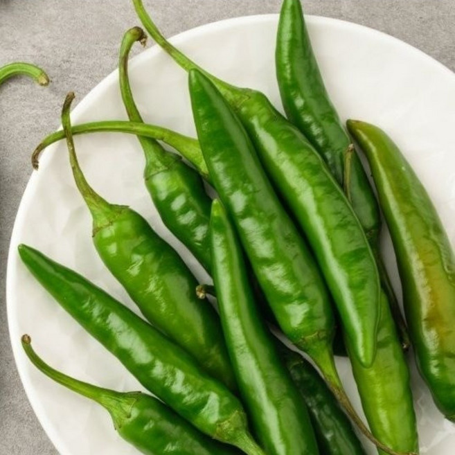 아삭이 오이 고추 국내산 신선한 아삭한 매운맛 요리 반찬 고민 해결 필수, 1세트, 500g