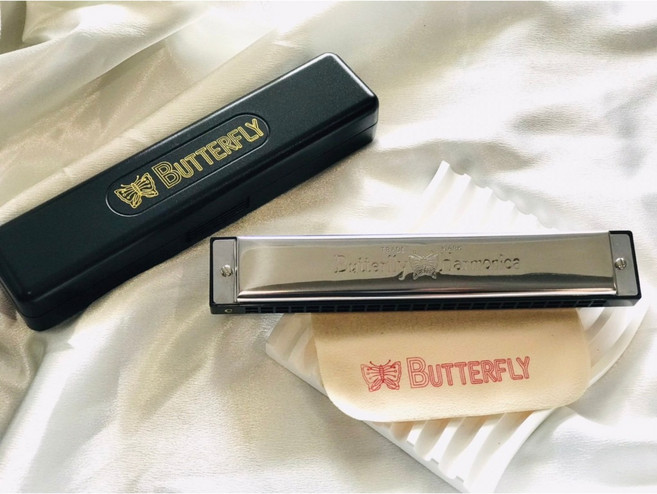 BUTTERFLY 蝴蝶牌 SH-B24C 24孔 複音口琴 C調, 1個