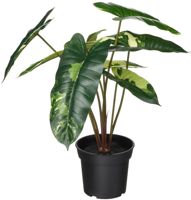 이케아 페이카 조화화분 인조식물 필로덴드론/그린/화이트 (화분지름:15cm), 1개