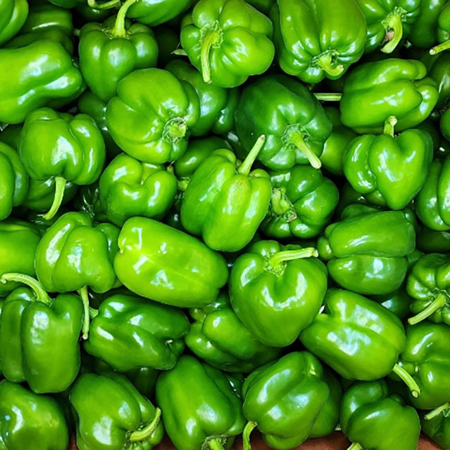 국내산 못난이 청피망 상, 1개, 1kg