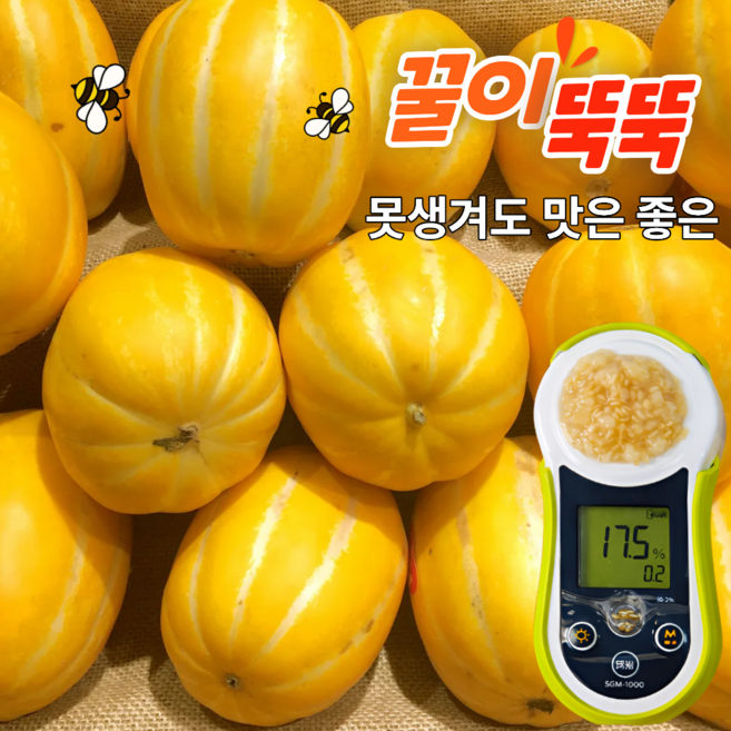 [당도선별] 달콤한 성주 참외 가정용 꿀참외 산지직송, 1박스, 3kg [랜덤과](4~24과)