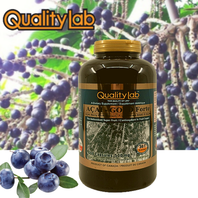 퀄리티랩 유기농 아사이베리 골드포르테 아사히베리 안토시아닌 피토스테롤 300캡슐, 1개, 300정