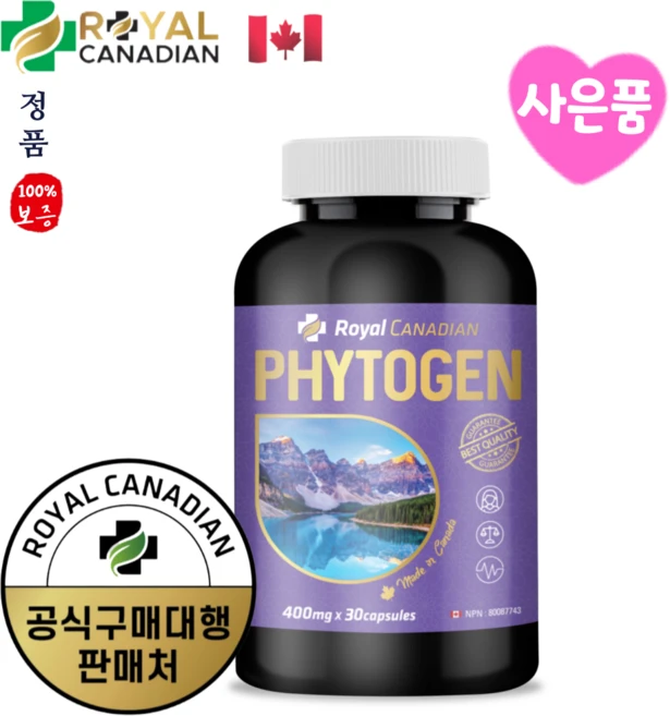 파이토젠 로얄캐네디언 캐나다 리그난 대두이소플라본 천연식물성 린넨추출물 +사은품, 1개, 30정 - 쿠팡