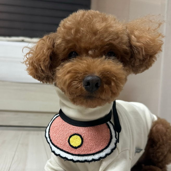 큐리파이 재밌는 강아지 케이프 스카프 턱받이, 1개, 분홍색 계란후라이