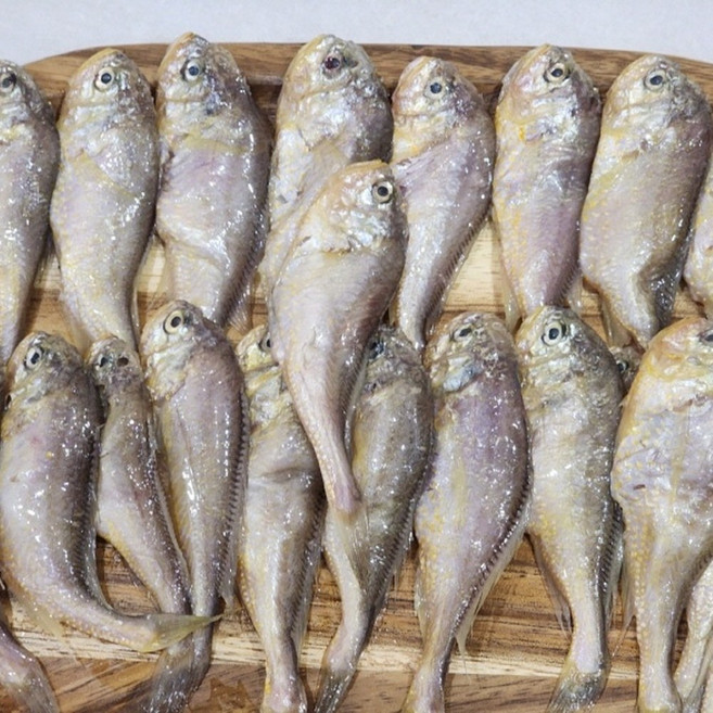 국내산 급냉 황석어, 1개, 1kg