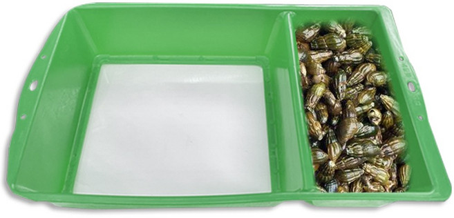 다슬기통 계곡 다슬기 수경 채집통 올갱이 고동 고둥 잡는 채집 장비 도구 뜰채 잡이 통, 다슬기 채집통, 랜덤발송