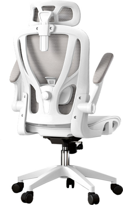 Xpanse W-902-Pro 德國品牌 電腦椅 3年保固 30天免費試用 台灣發貨, W902 Pro 白色-四點支撐