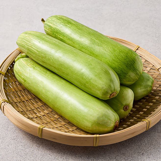 국내산 애호박 20개입 1박스