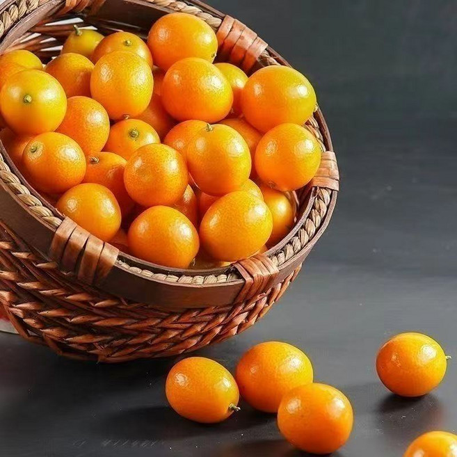 제주금귤 낑깡 껍질째 먹는 생과 비타민 덩어리 대, 1박스, 1kg