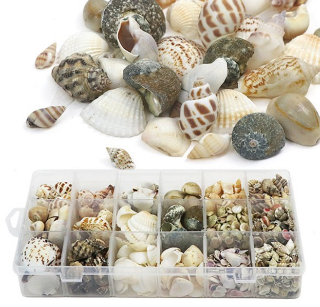 (재미스쿨) DIY 조개껍질 18종 혼합세트 500g (대용량) 조개껍데기