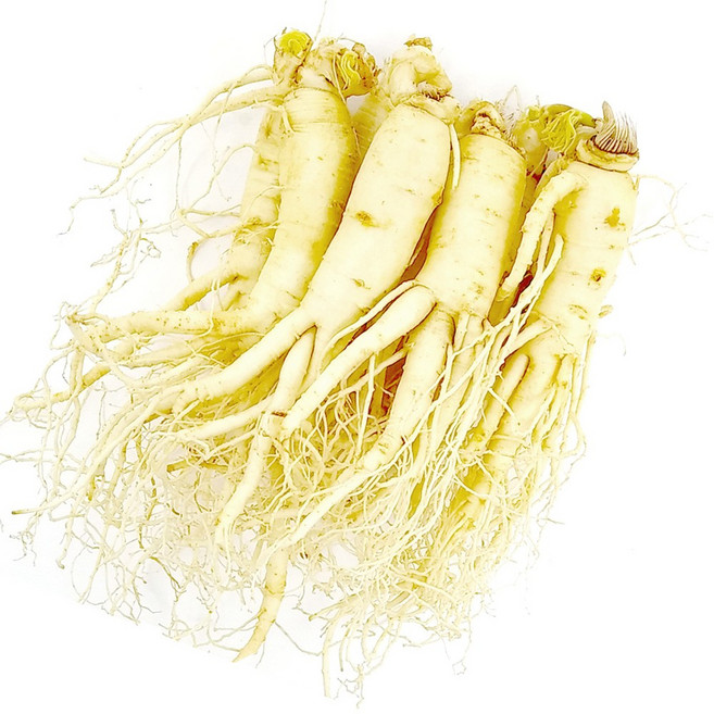 더굿진생 6년근인삼 수삼 금산인삼 원수삼, 1개, 세척인삼 대500g(8~10뿌리)