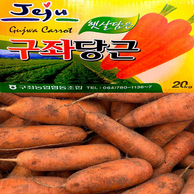 농부곳간 수분 가득한 제주 구좌 햇 흙당근, 1개, 당근 5kg 상
