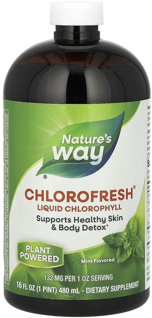 Nature's Way Chlorofresh 액상 엽록소 민트 맛 132mg 480ml(16fl oz) (2 테이블스푼당 132mg), NaturesWayChlorofresh액상엽록소민트맛1, 480ml - 쿠팡