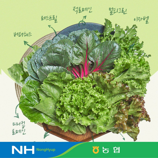 만인산농협 유러피안 모듬쌈채소 600g, 1개